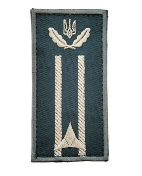 Погон на липучці 1 зірка,дві полоски 10*5 Державне агентство лісових ресурсів України Олива купить