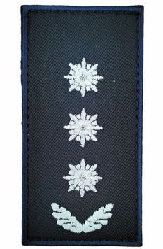 Погон полковник 10*5 Поліція Т. синій купить