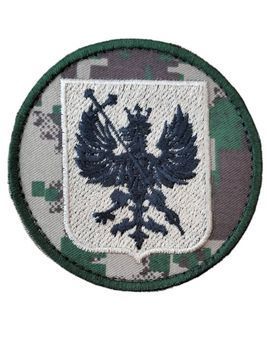 Шеврон Чернігівська область Сухопутні війська 8*8 Збройні сили України Хижак купить