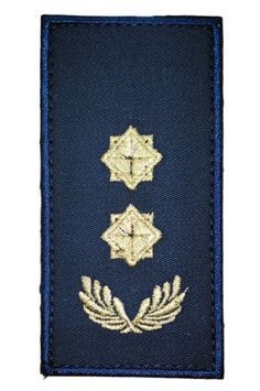 Арт. 29460 Погон 10*5 Грета/Габардин Т. синій ДСНС підполковник Золота2206/т.синя3357 купити